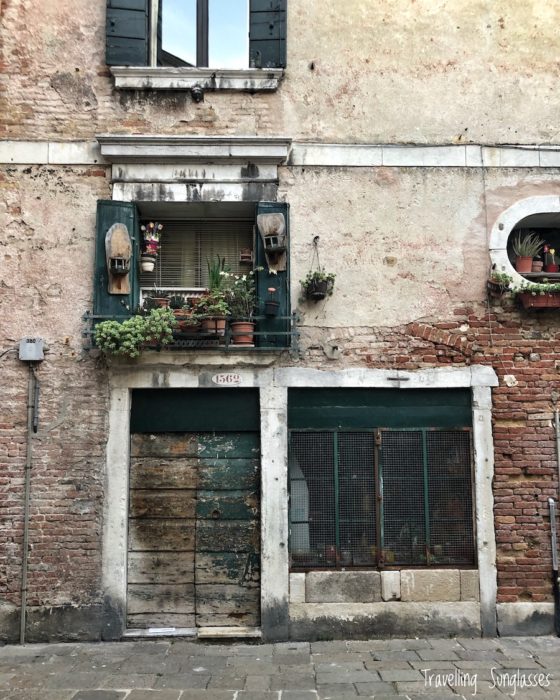 Venice door with potted plants