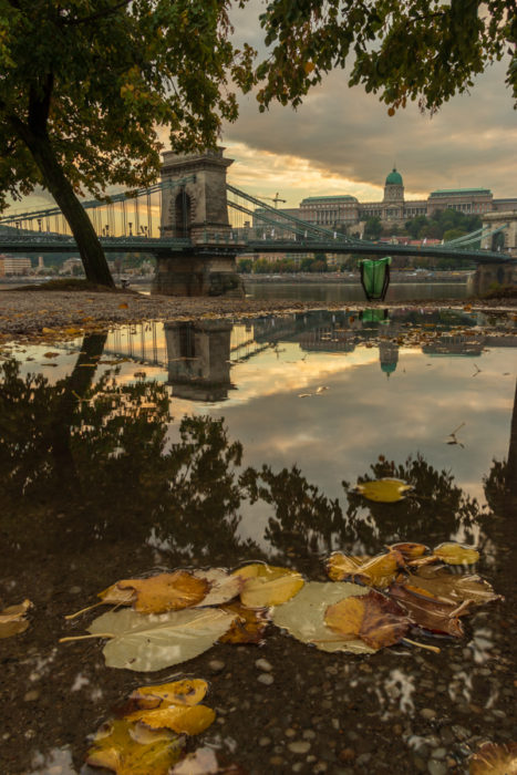 What to do in Budapest in autumn Chain Bridge reflection leaves