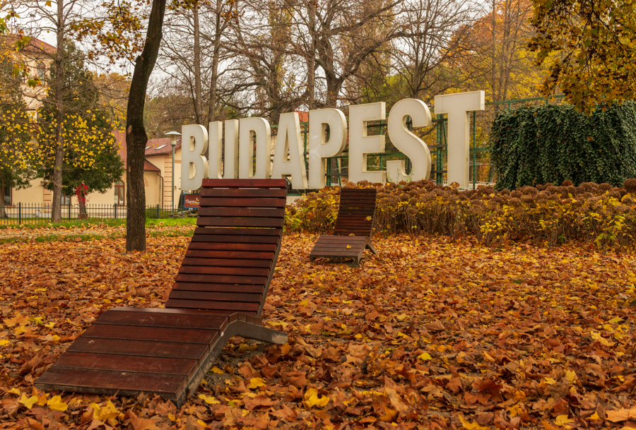 What to do in Budapest in autumn Margaret Island foliage